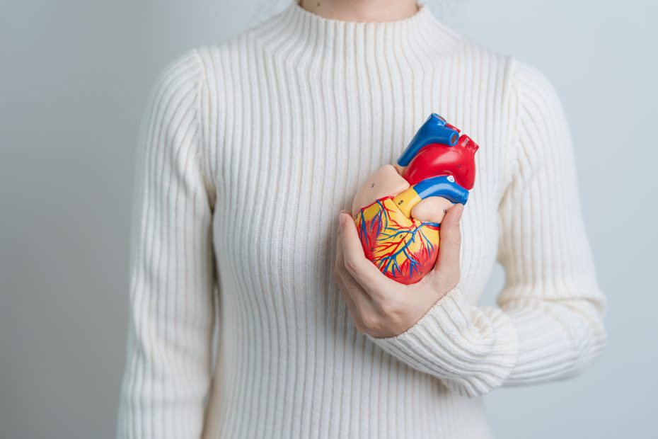 homem segurando um coração de brinquedo na altura do peito